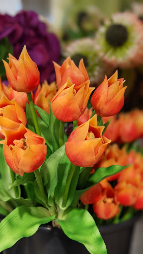 Grocery Store «Market Street», reviews and photos, 6100 Eldorado Pkwy, McKinney, TX 75070, USA