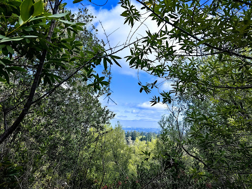 Montalvo Arts Center image