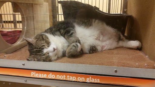Pet Supply Store «PetSmart», reviews and photos, 24 Countryside Plaza, Countryside, IL 60525, USA