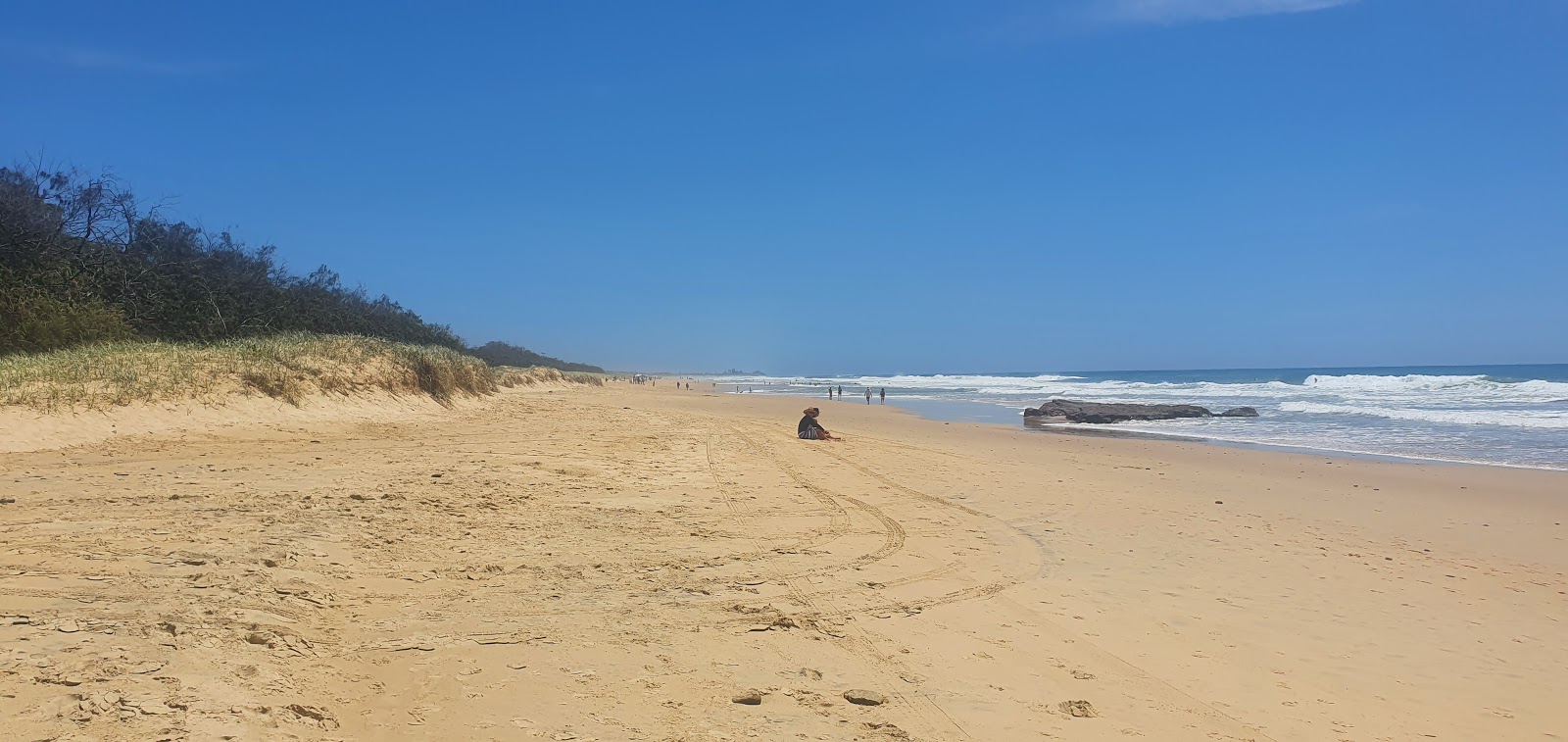 Φωτογραφία του Dog & Cat Beach με καθαρό νερό επιφάνεια