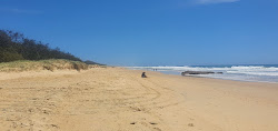 Foto af Dog & Cat Beach med turkis rent vand overflade