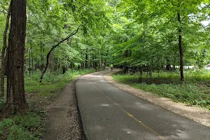 Edgebrook Woods image