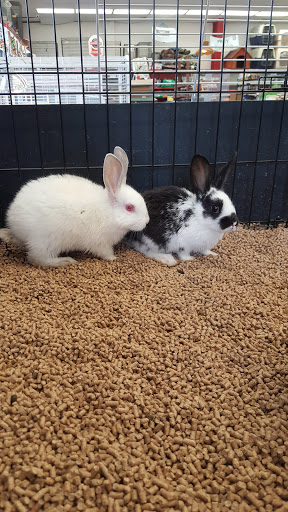 Pet Store «Double M Feed Garden & Pet Supply», reviews and photos, 1121 Gause Blvd, Slidell, LA 70458, USA