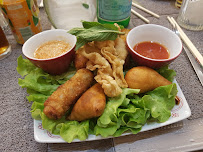Rouleau de printemps du Restaurant vietnamien Le THU HONG à Romans-sur-Isère - n°10