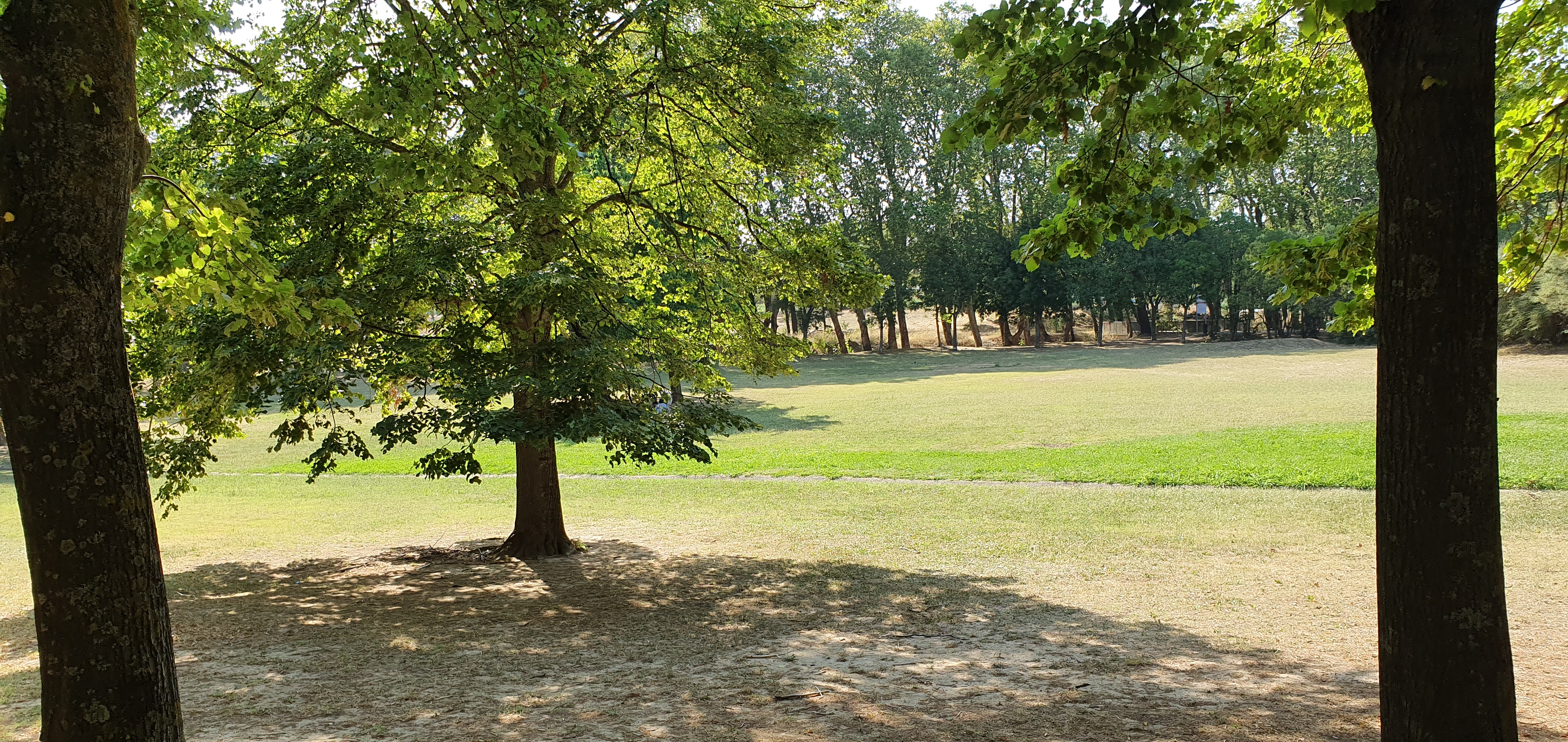 Photo n° 2 de l'avis de Inès.i fait le 05/08/2019 à 15:27