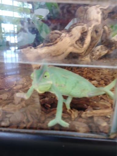 Pet Supply Store «Petco Animal Supplies», reviews and photos, 175 Grandview Blvd #600, Madison, MS 39110, USA