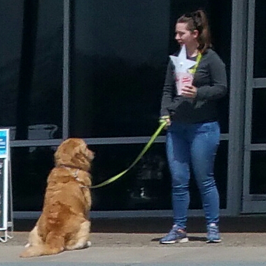 Pet Supply Store «PetSmart», reviews and photos, 421 Commerce Dr, Victor, NY 14564, USA