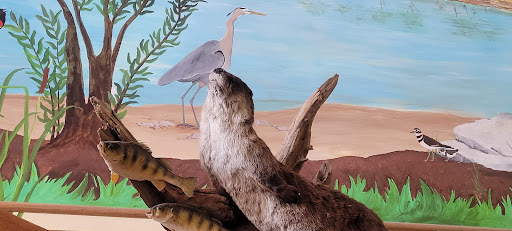 Museum «Lewis & Clark Boat House», reviews and photos, 1050 S Riverside Dr, St Charles, MO 63301, USA