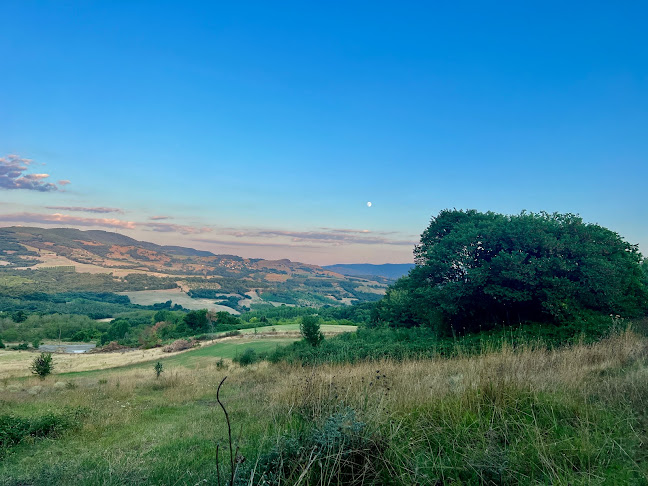 Ταβερνα λιοντας - Λάρισα