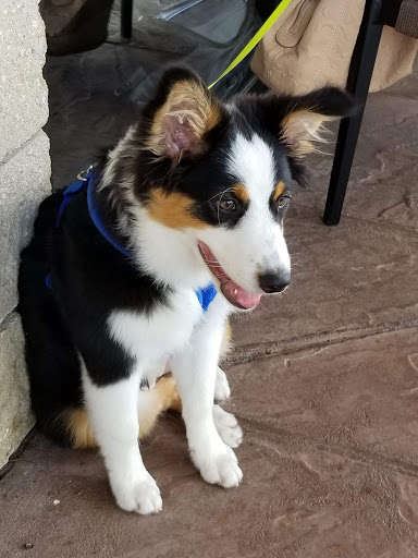 Shopping Mall «College Plaza Shopping Center», reviews and photos, 8595 College Pkwy, Fort Myers, FL 33907, USA