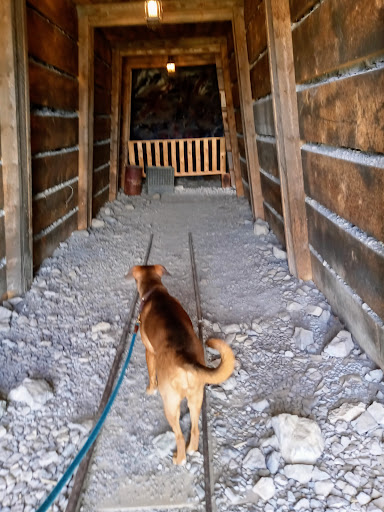 Non-Profit Organization «South Park Historical Foundation», reviews and photos