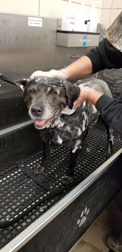 Pet Supply Store «Pet Supplies Plus», reviews and photos, 1213 Mentor Ave, Painesville, OH 44077, USA