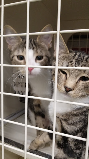 Pet Supply Store «Petco Animal Supplies», reviews and photos, 450 N Rte 17, Paramus, NJ 07652, USA