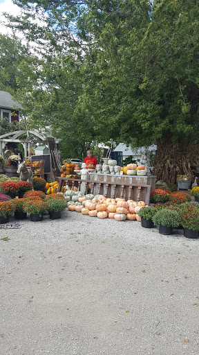 Gift Shop «Sisters Garden», reviews and photos, 4895 IA-1, Kalona, IA 52247, USA