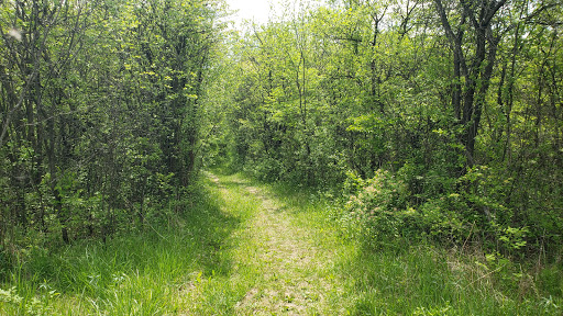 Nature Preserve «Penny Road Pond», reviews and photos, Penny Rd, Barrington, IL 60010, USA