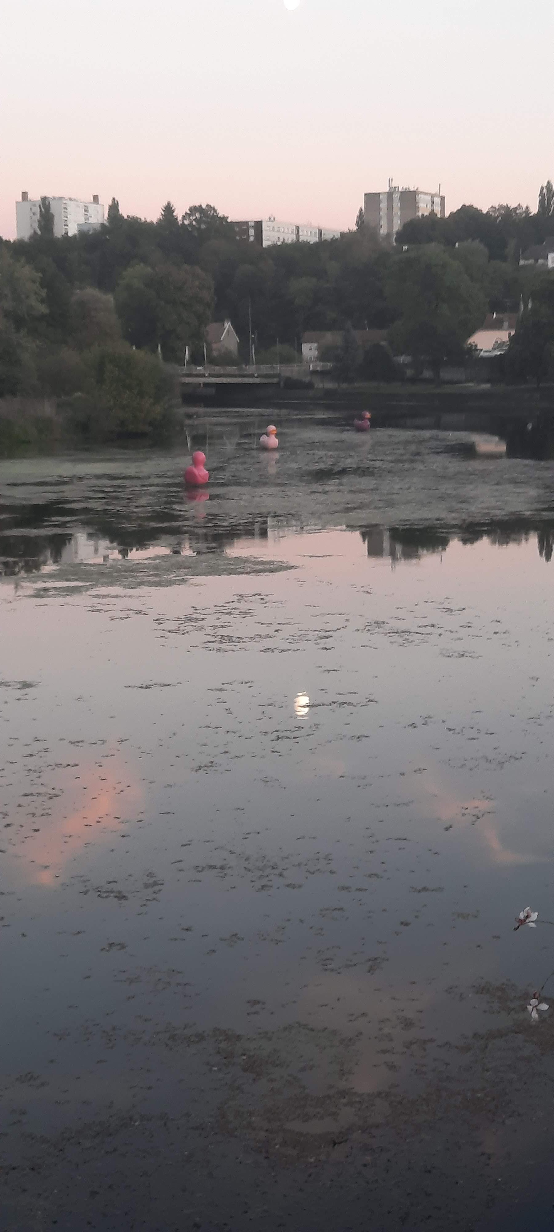 Photo n° 8 de l'avis de bernard.a fait le 30/09/2023 à 19:04