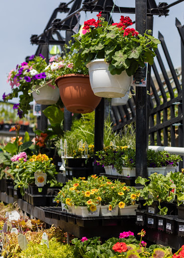 Hardware Store «Old Takoma Ace Hardware», reviews and photos, 7001 Carroll Ave, Takoma Park, MD 20912, USA