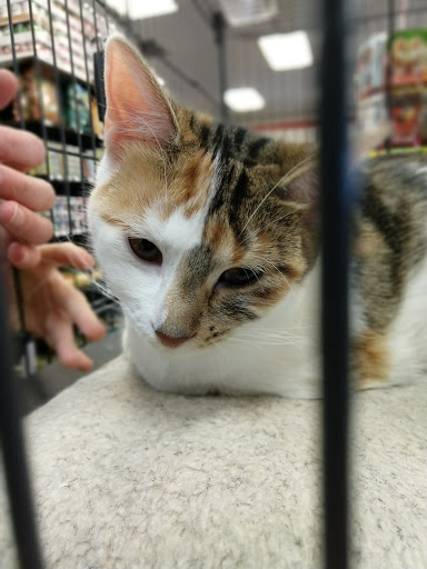 Pet Supply Store «Chuck & Don’s Pet Food & Supplies», reviews and photos, 8115 Wedgewood Ln N #1, Maple Grove, MN 55369, USA