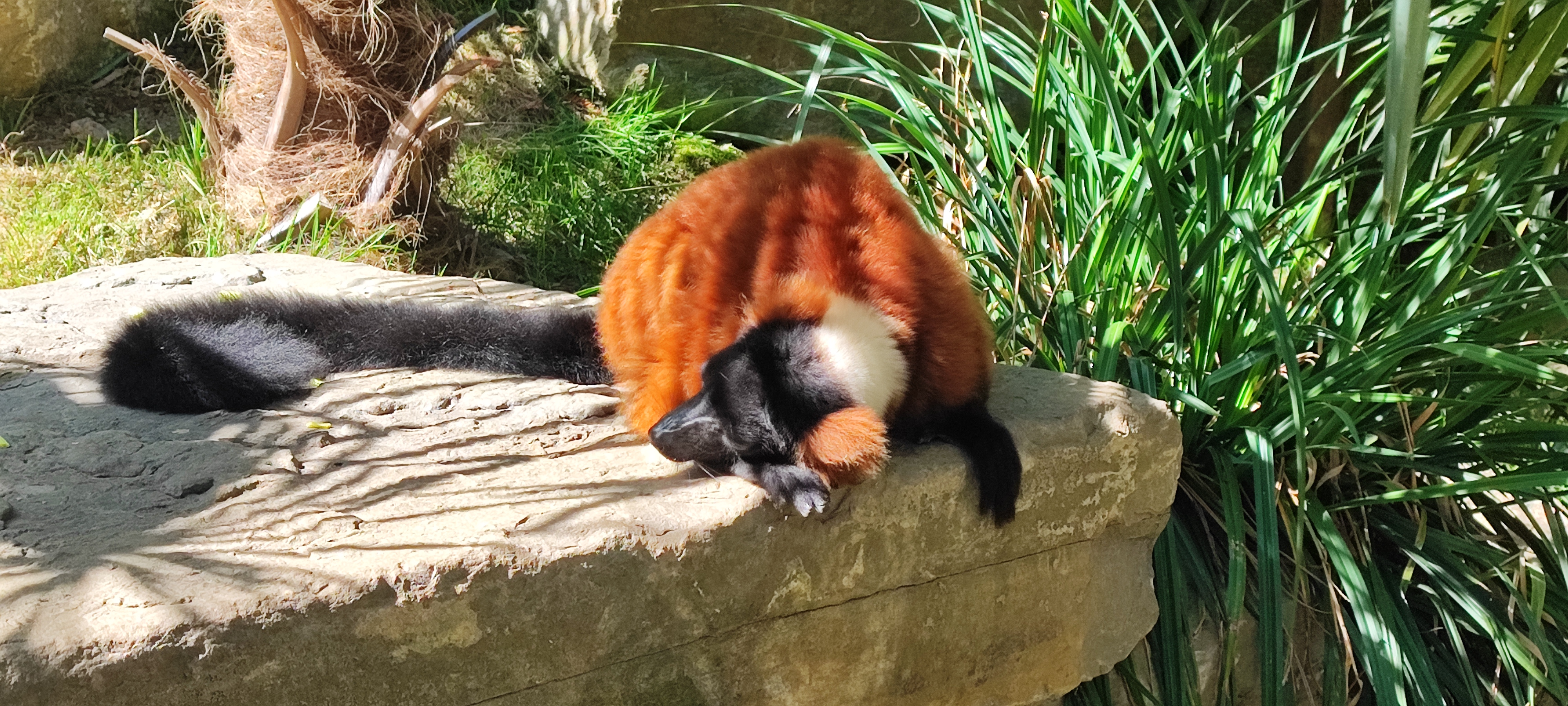 Photo n° 2 de l'avis de Thierry.i fait le 28/09/2023 à 17:40