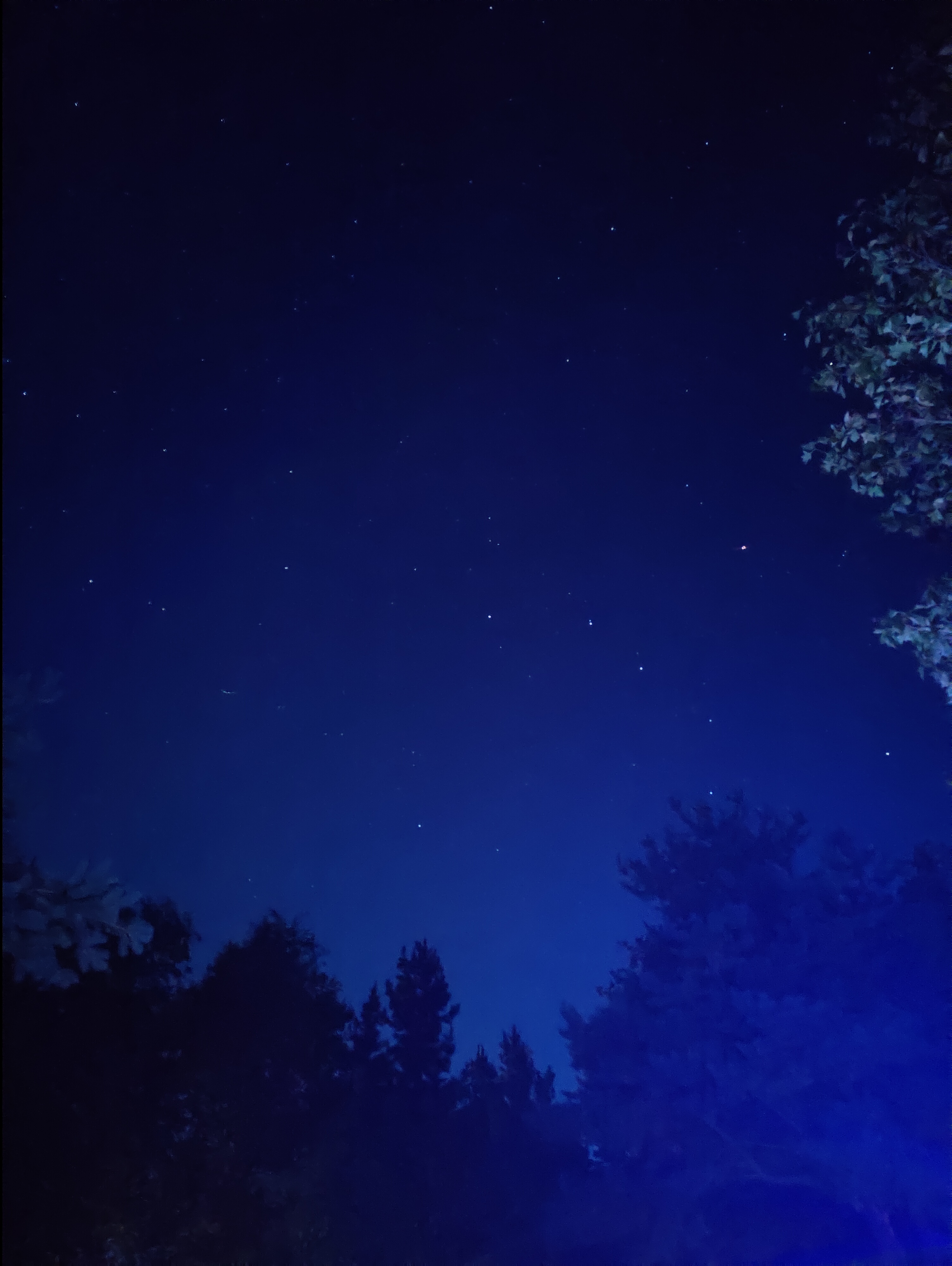 Photo n° 1 de l'avis de Koen.i fait le 28/08/2022 à 21:12