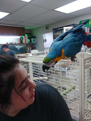 Pet Store «Feed-Rite Pet Supply», reviews and photos, 2979 Fort St, Lincoln Park, MI 48146, USA