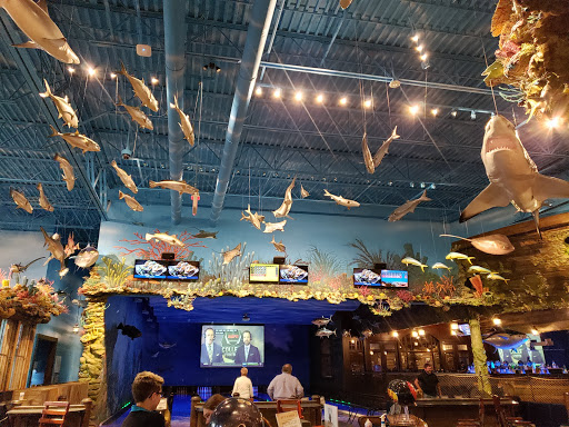 Sporting Goods Store «Bass Pro Shops», reviews and photos, 1 Bass Pro Dr, Bristol, TN 37621, USA