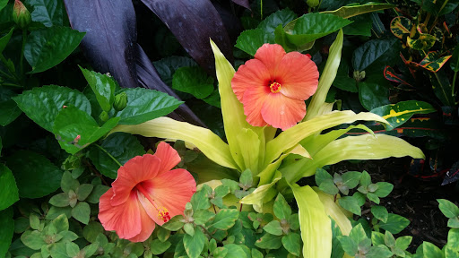 Aquarium «Belle Isle Aquarium», reviews and photos, 900 Inselruhe Ave, Detroit, MI 48207, USA