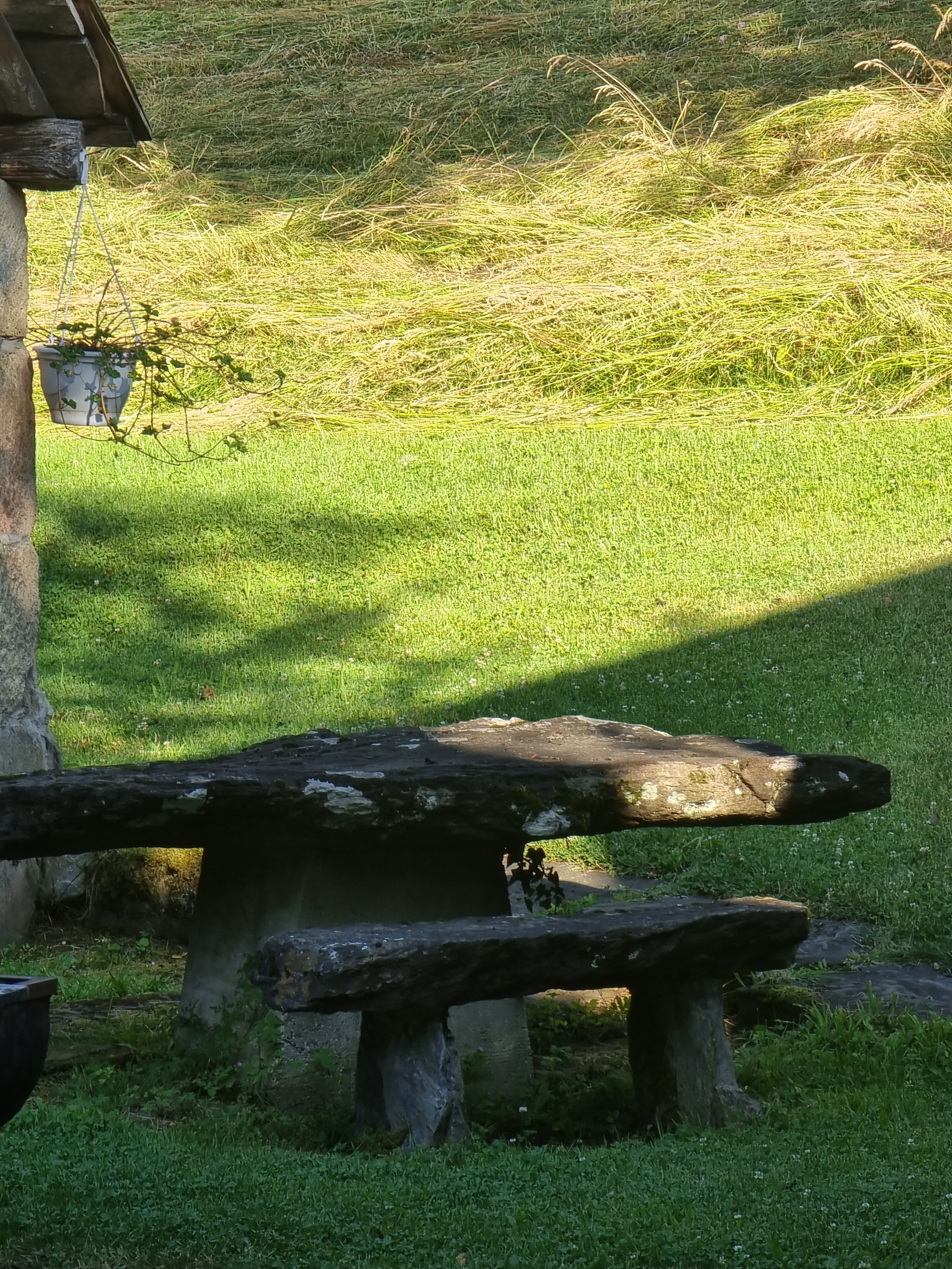 Photo n° 2 de l'avis de Yen.e fait le 02/07/2023 à 19:22