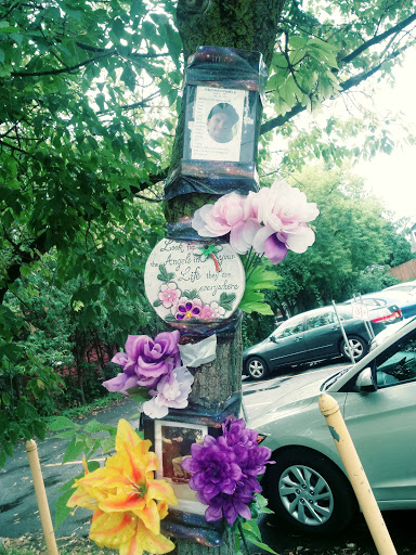 Movie Theater «The Palace Theatre», reviews and photos, 2384 James St, Syracuse, NY 13206, USA