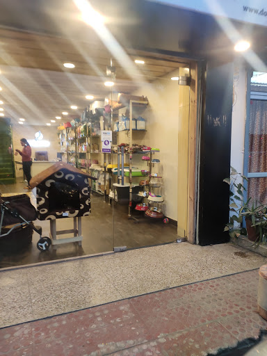 Paw Story - Pet Shop In Jaipur