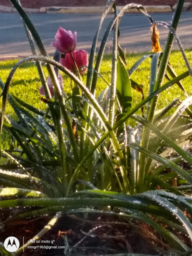 Shopping Mall «Nashua Mall», reviews and photos, 42 Gusabel Ave, Nashua, NH 03063, USA