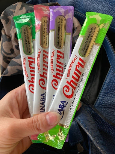 Pet Supply Store «The Dog Store», reviews and photos, 2301 Mt Vernon Ave, Alexandria, VA 22301, USA