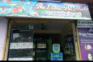 Exotic Pet Shop & aquarium titwala image