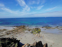 Plage de Portez'in fotoğrafı vahşi alan