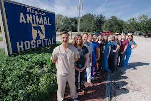 Maybeck Animal Hospital image
