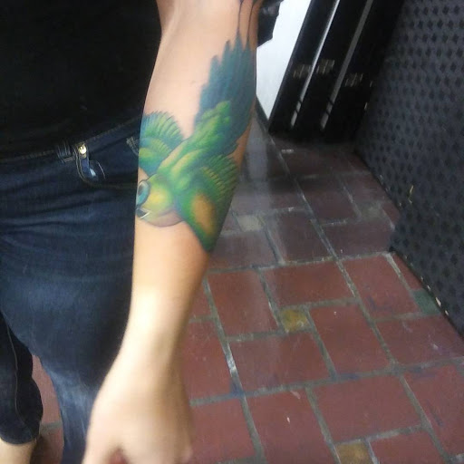 Tattoo Shop «Hold Fast Tattoo Studio», reviews and photos, 1101 Main St, Redwood City, CA 94063, USA