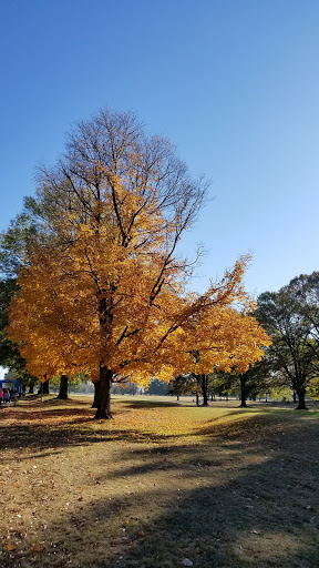 Public Golf Course «Audubon Park Golf Course», reviews and photos, 4160 Park Ave, Memphis, TN 38117, USA