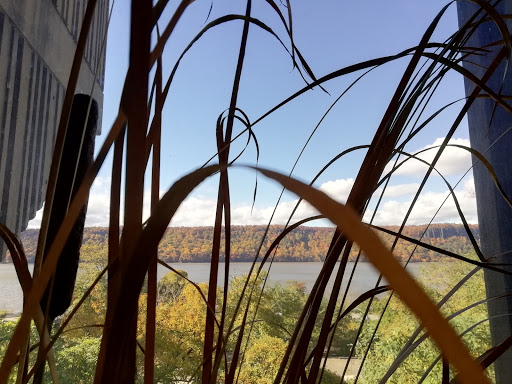 Museum «Hudson River Museum», reviews and photos, 511 Warburton Ave, Yonkers, NY 10701, USA