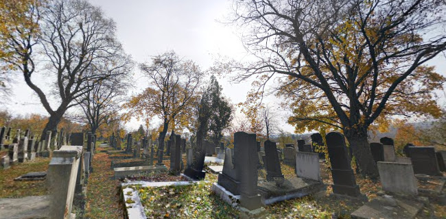 Hozzászólások és értékelések az Jewish cemetery of MISKOLC-ról