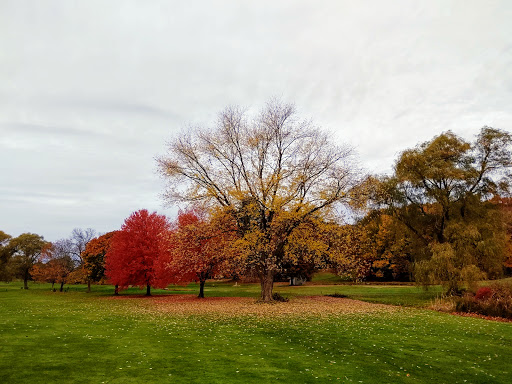 Golf Course «Maynard Golf Course», reviews and photos, 50 Brown St, Maynard, MA 01754, USA