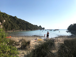 Valsika beach'in fotoğrafı küçük koy ile birlikte