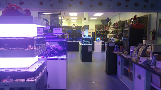 Tropical Fish Store «NOLA Aquatics», reviews and photos, 1705 LA-59 #10, Mandeville, LA 70448, USA