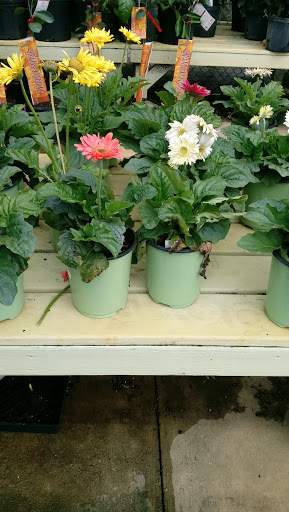 Hardware Store «Hagan Ace Hardware», reviews and photos, 6567 US-90, Glen St Mary, FL 32040, USA