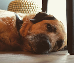 HABEL am Kudamm photo