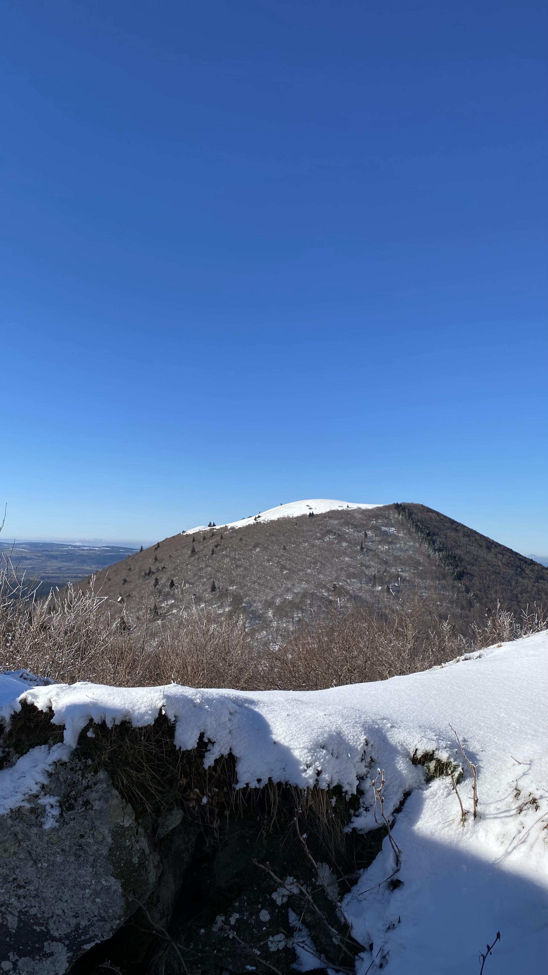 Photo n° 7 de l'avis de Michel.o fait le 12/01/2022 à 18:09
