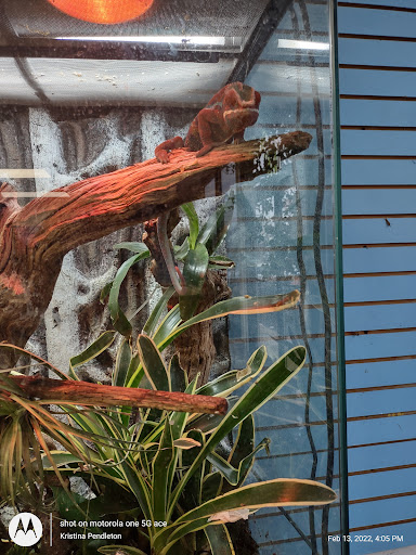 Pet Store «Fins Feathers Paws & Claws», reviews and photos, 436 Main St, Harleysville, PA 19438, USA