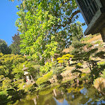 Photo n° 4 de l'avis de xDiablesse. fait le 06/08/2022 à 23:00 pour Parc Oriental de Maulévrier à Maulevrier