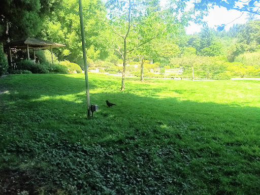 Botanical Garden «Washington Park Arboretum - UW Botanic Gardens», reviews and photos, 2300 Arboretum Dr E, Seattle, WA 98112, USA