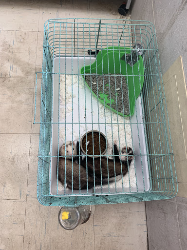 Pet Supply Store «The Animal Store», reviews and photos, 4364 Touhy Ave, Lincolnwood, IL 60712, USA