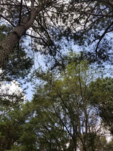 Park «Alexander Park», reviews and photos, 300 Atlanta St, McDonough, GA 30253, USA